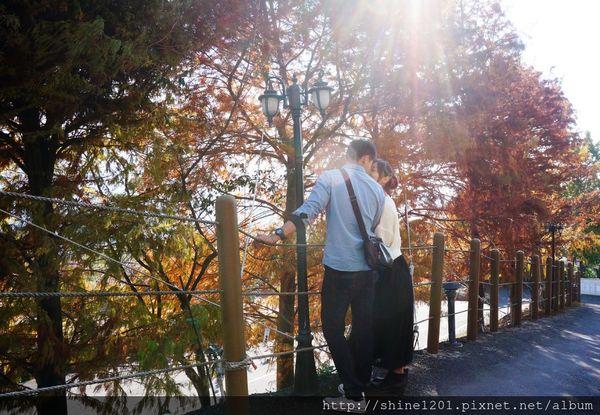 南投清境景點 Nina妮娜巧克力 佛羅倫斯渡假山莊