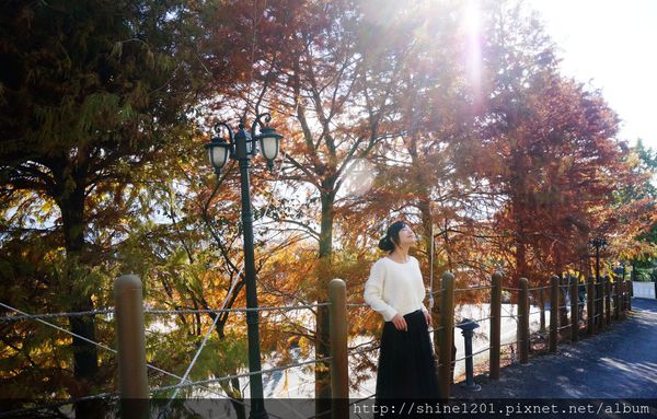 南投清境景點 Nina妮娜巧克力 佛羅倫斯渡假山莊