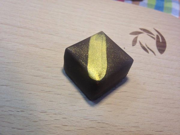 12349657_10204202358892807_369593967_o