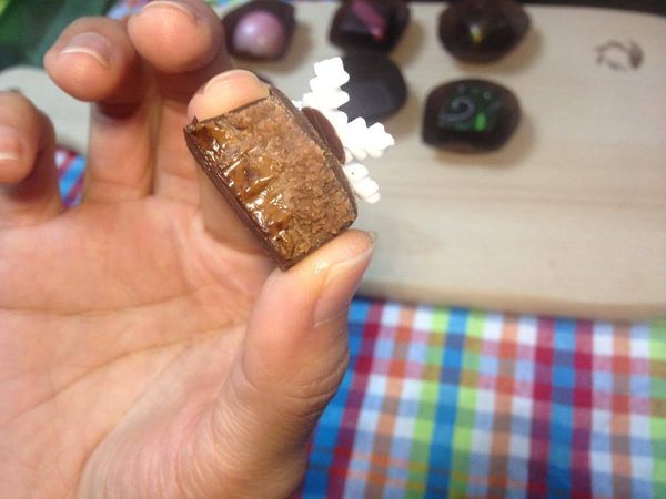 12334173_10204202359252816_605071814_o