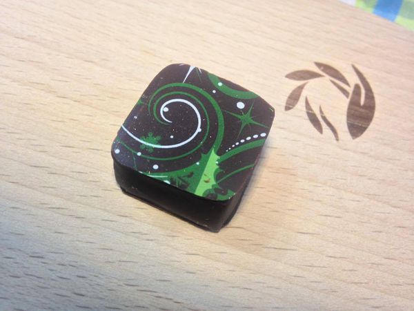 12349550_10204202358452796_2055644270_o