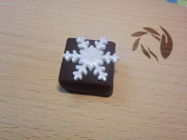 12351878_10204202358172789_149565684_o