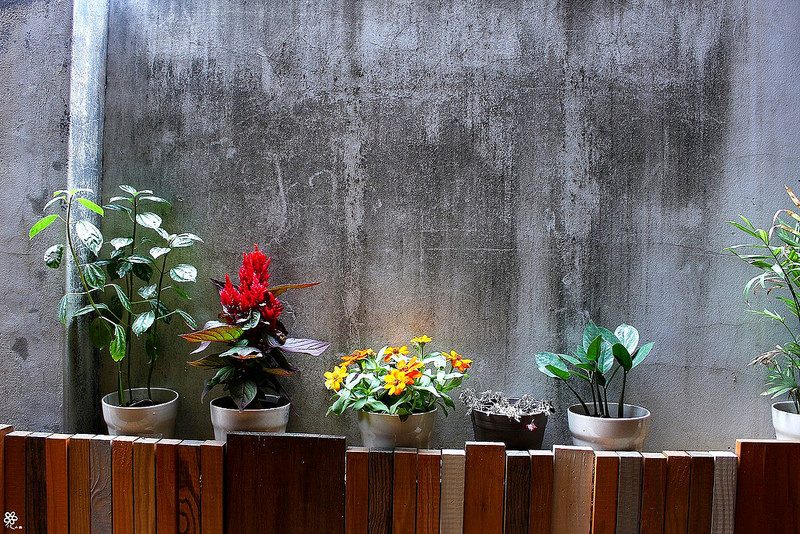 外兒小館板橋早午餐推薦 (13)