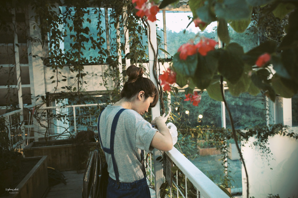 宜蘭香草菲菲的植物園藝課
