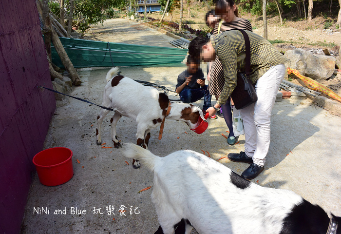 今夜星辰休閒農場草泥馬29.jpg