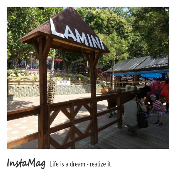 今夜星辰休閒農場:【彰化景點】大大放閃的新景點~今夜星辰休閒農場