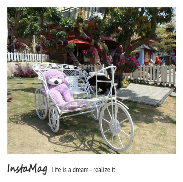 今夜星辰休閒農場:【彰化景點】大大放閃的新景點~今夜星辰休閒農場