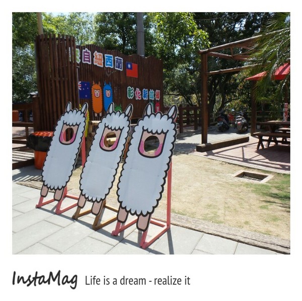 今夜星辰休閒農場:【彰化景點】大大放閃的新景點~今夜星辰休閒農場