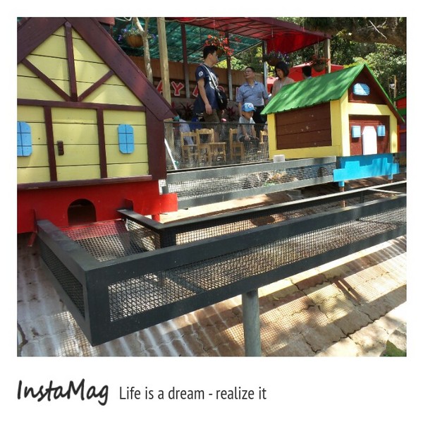 今夜星辰休閒農場:【彰化景點】大大放閃的新景點~今夜星辰休閒農場