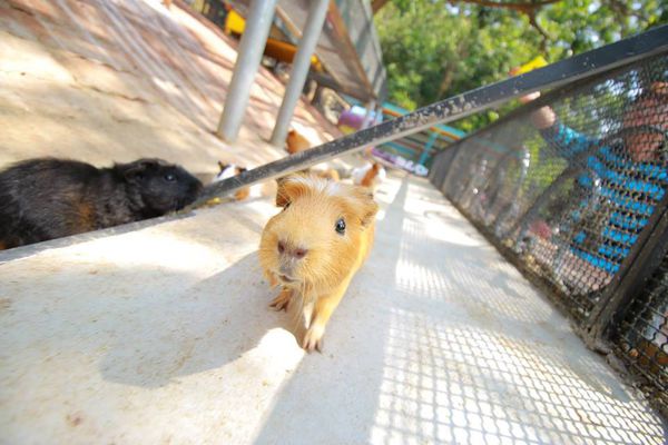 11043158_1613054668925387_5712002850115735025_n