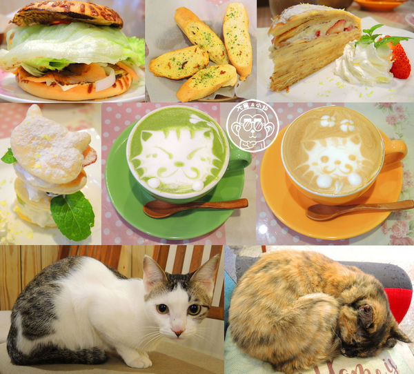 晴空貓窩：呷飽祙【新竹･晴空貓窩】又一喵星人陪伴用餐咖啡廳