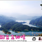 楓樹湖：【新北◍•ᴗ•◍淡水】景點・淡水楓樹湖賞木蓮花✯木蘭、辛夷景點｜冰清玉潔木蓮千株花海秘境