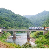 楓樹湖：【新北◍•ᴗ•◍淡水】景點・淡水楓樹湖賞木蓮花✯木蘭、辛夷景點｜冰清玉潔木蓮千株花海秘境