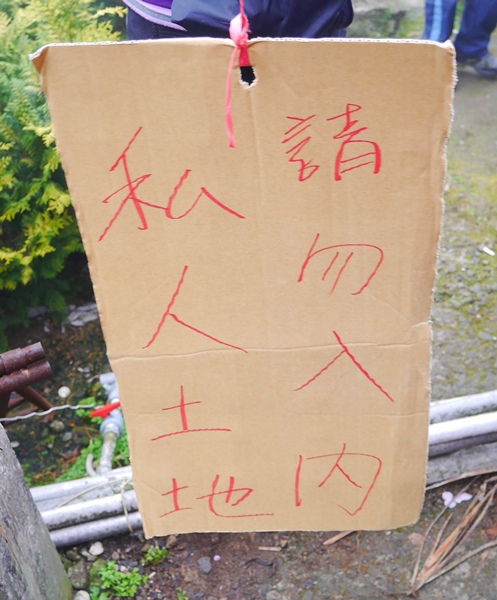 楓樹湖：【新北◍•ᴗ•◍淡水】景點・淡水楓樹湖賞木蓮花✯木蘭、辛夷景點｜冰清玉潔木蓮千株花海秘境