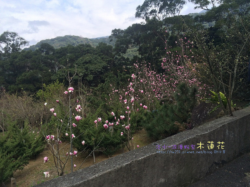 2015-02-19 14.02.49 HDR_resize