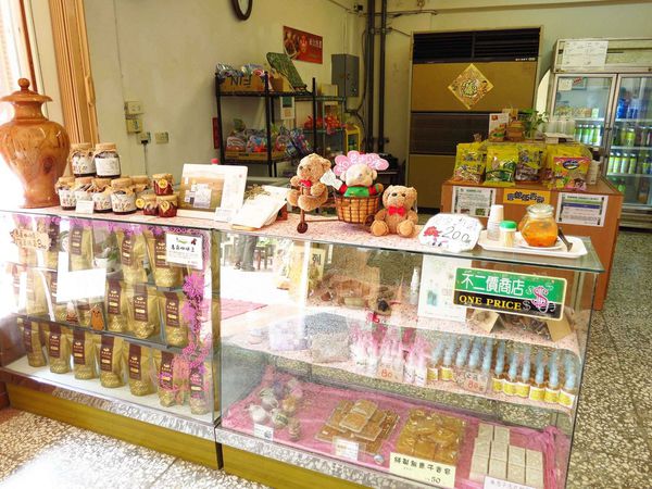 【台南】新化國家植物園-親子森林遊樂區