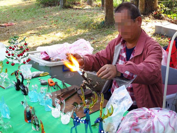 【台南】新化國家植物園-親子森林遊樂區