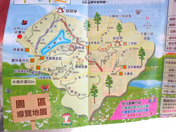 【台南】新化國家植物園-親子森林遊樂區