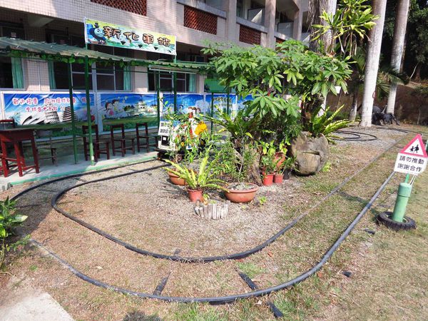 【台南】新化國家植物園-親子森林遊樂區