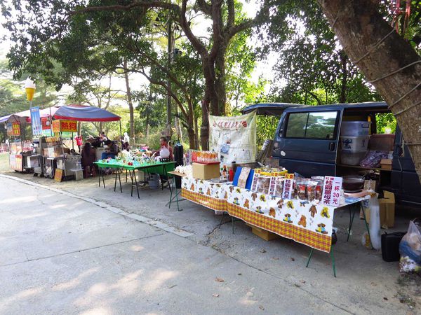 【台南】新化國家植物園-親子森林遊樂區