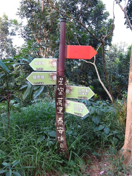 【台南】新化國家植物園-親子森林遊樂區