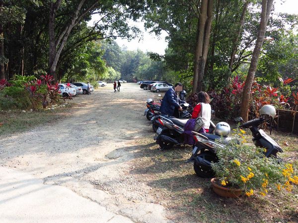 【台南】新化國家植物園-親子森林遊樂區