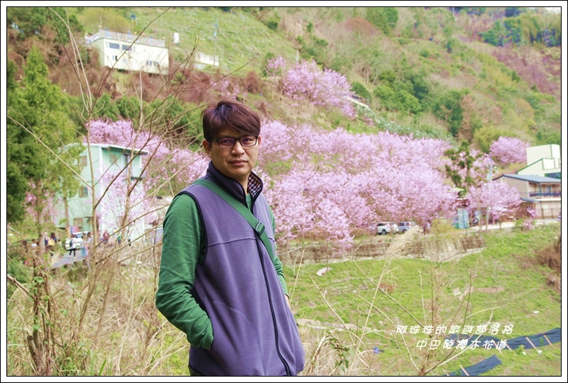 中巴陵櫻木花道17.JPG