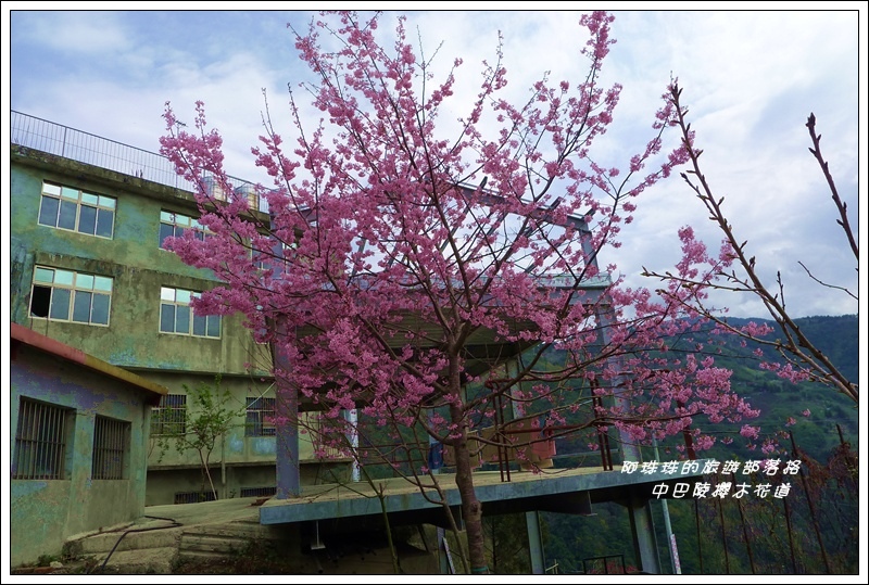 中巴陵櫻木花道33.JPG