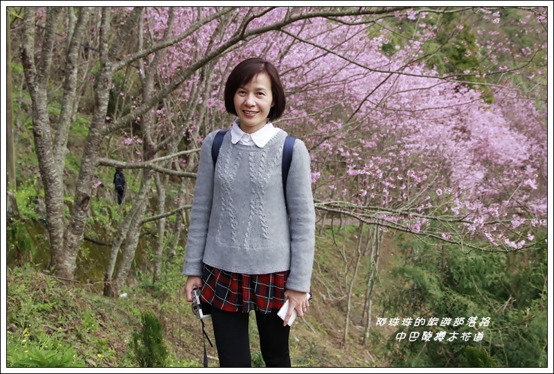 中巴陵櫻木花道9.JPG