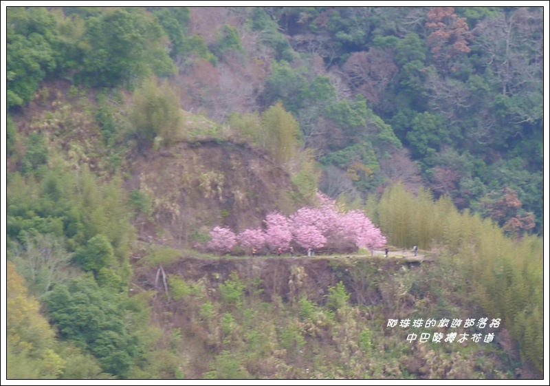 中巴陵櫻木花道29.JPG