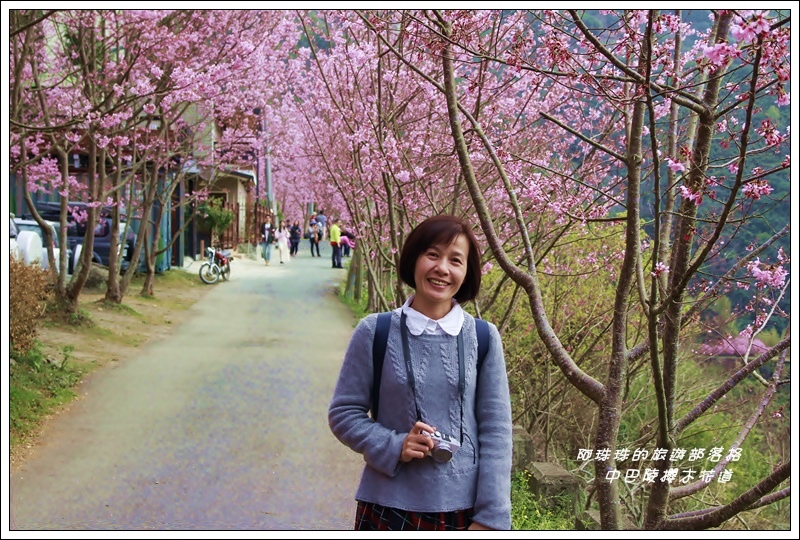 中巴陵櫻木花道5.JPG