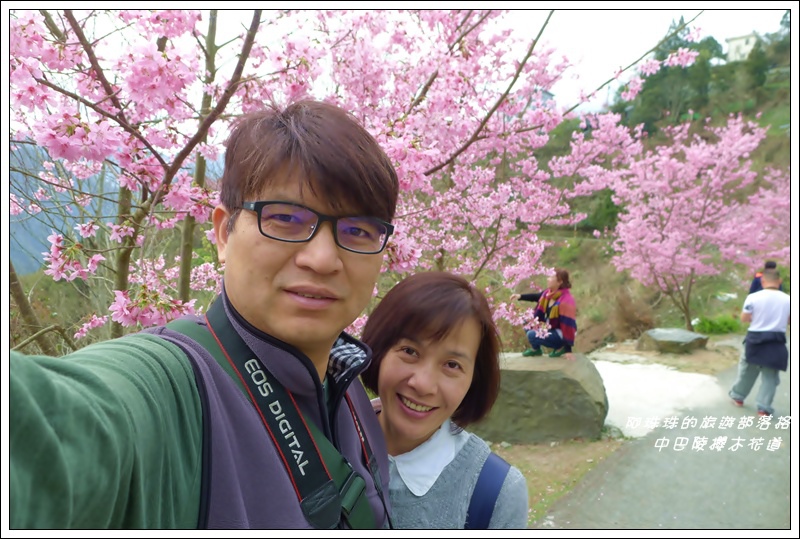 中巴陵櫻木花道19.JPG