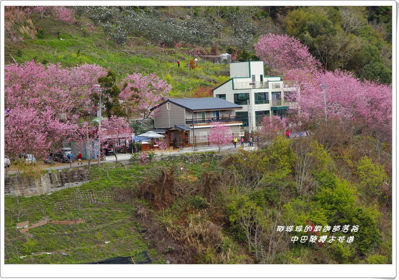 中巴陵櫻木花道1.JPG