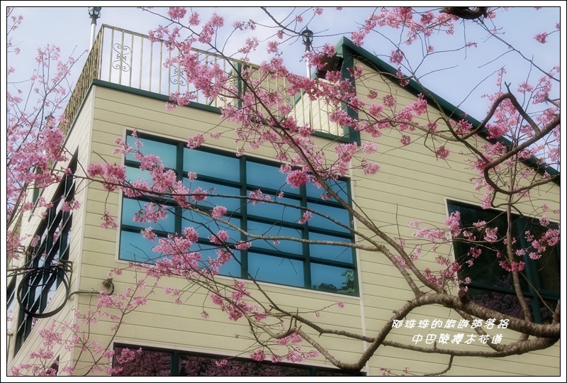 中巴陵櫻木花道11.JPG