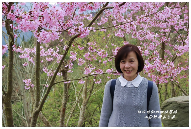 中巴陵櫻木花道13.JPG