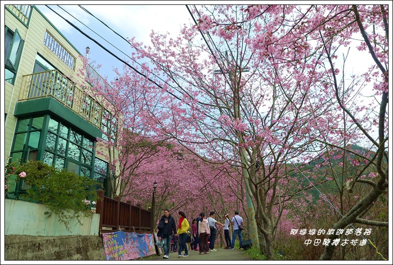 中巴陵櫻木花道20.JPG