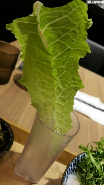 開丼 燒肉vs丼飯(大墩店)：開丼 燒肉vs丼飯✪地表最強!？ 試賣期間打9折(每日限量150份)~104.02.28