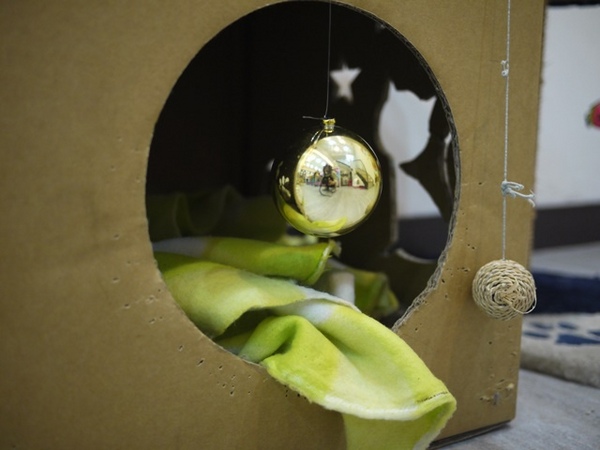 彩虹猫冰屋：食。北市捷運松山站。Boss當家的彩虹猫 炸物、鬆餅、冰品 烏龍麵通通有!!