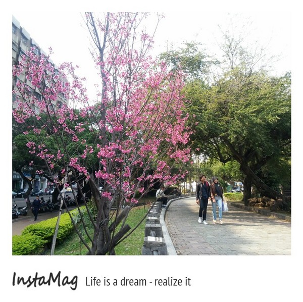 2015台灣燈會(台中公園)：2015台中公園燈會~展出時間:2月28號~3月15號