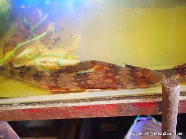 閤家活海鮮：【食記】台中閤家平價活海鮮.活鵝肉城@南屯 : 現撈的比較威？菜色多元的海鮮合菜!
