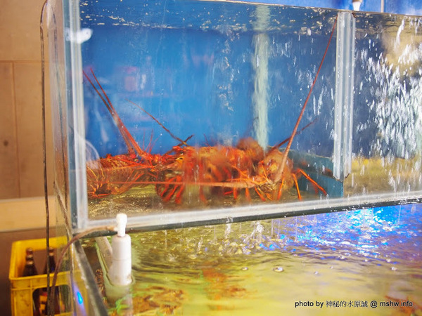 閤家活海鮮：【食記】台中閤家平價活海鮮.活鵝肉城@南屯 : 現撈的比較威？菜色多元的海鮮合菜!