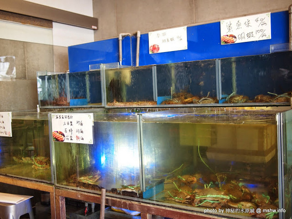閤家活海鮮：【食記】台中閤家平價活海鮮.活鵝肉城@南屯 : 現撈的比較威？菜色多元的海鮮合菜!