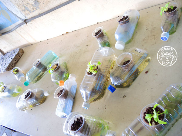 米倉國小：作伙來企投【新北八里･米倉國小】樹屋溜滑梯太好玩啦