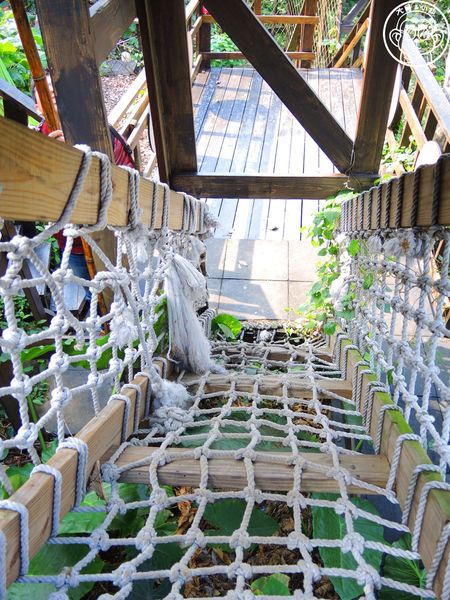 米倉國小：作伙來企投【新北八里･米倉國小】樹屋溜滑梯太好玩啦