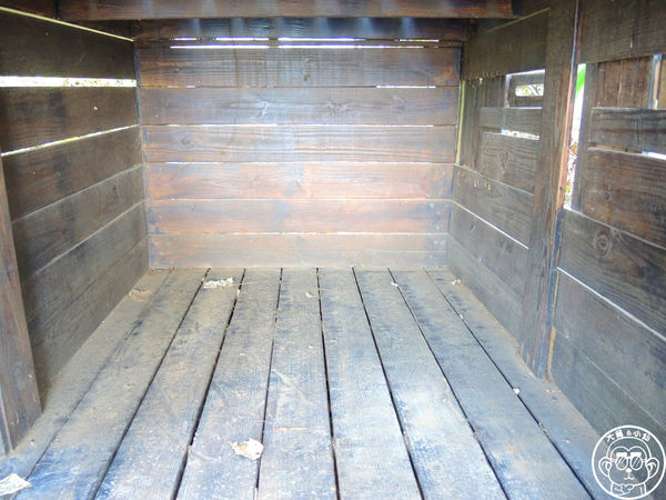 米倉國小：作伙來企投【新北八里･米倉國小】樹屋溜滑梯太好玩啦