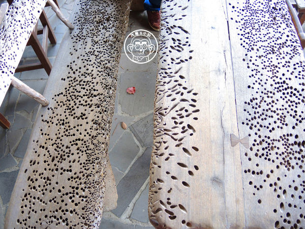 米倉國小：作伙來企投【新北八里･米倉國小】樹屋溜滑梯太好玩啦