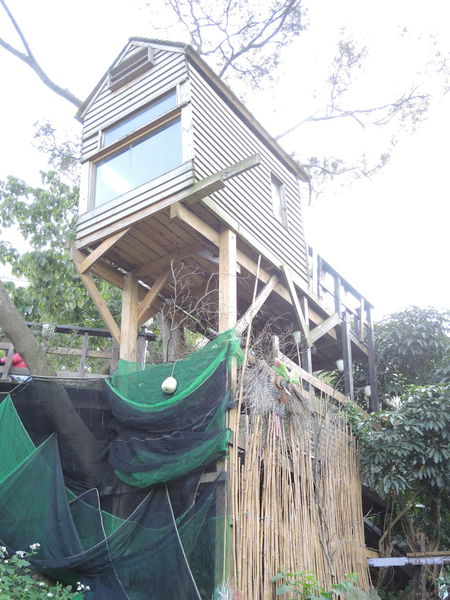 米倉國小：作伙來企投【新北八里･米倉國小】樹屋溜滑梯太好玩啦