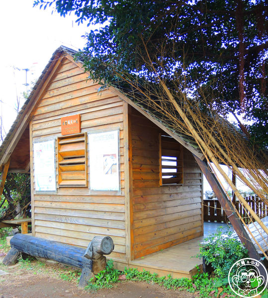 米倉國小：作伙來企投【新北八里･米倉國小】樹屋溜滑梯太好玩啦