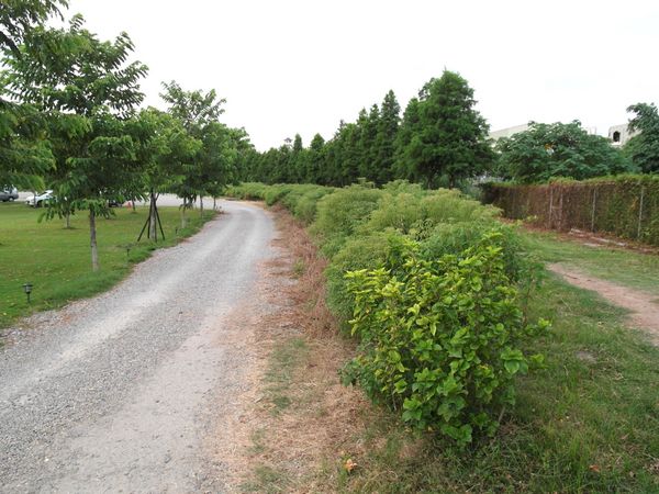 菓風巧克力工坊：【雲林】菓風巧克力工房，踏青／親子玩耍／買點心。有好多巧克力和糖果在這裡！