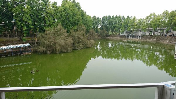 果風巧克力+大同醬油+魚露 觀光_5577